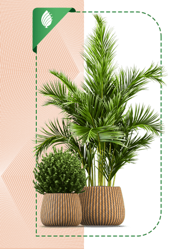 Planet-sabzland-001-MJ-min