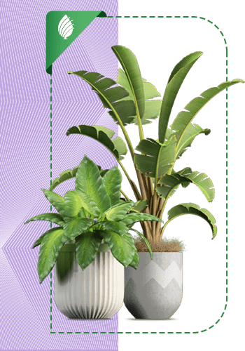 Planet-sabzland-002-MJ-min