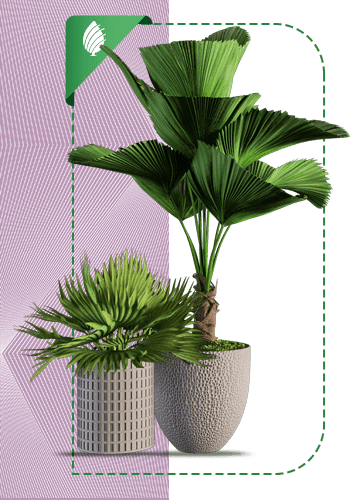 Planet-sabzland-004-MJ-min