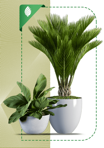 Planet-sabzland-005-MJ-min