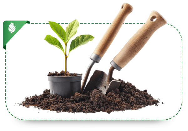 Product-sabzland-001-DS-min