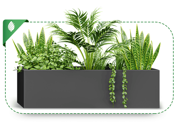 Product-sabzland-003-DS-min