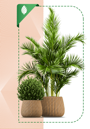 Planet-sabzland-001-MJ-min