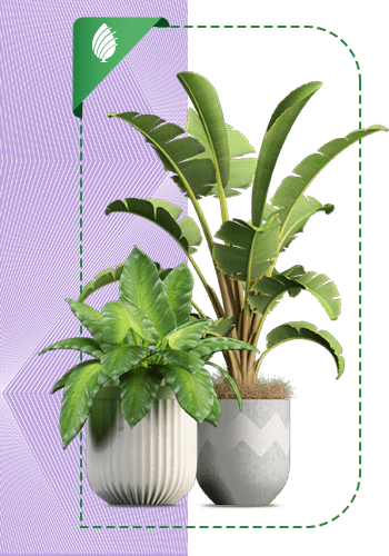 Planet-sabzland-002-MJ-min