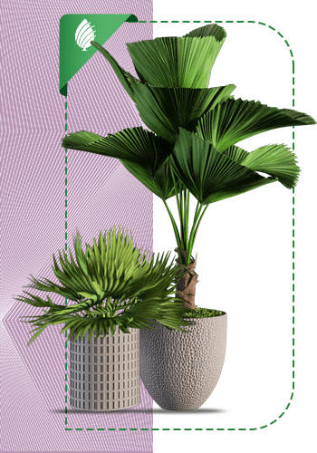 Planet-sabzland-004-MJ-min