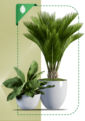 Planet-sabzland-005-MJ-min