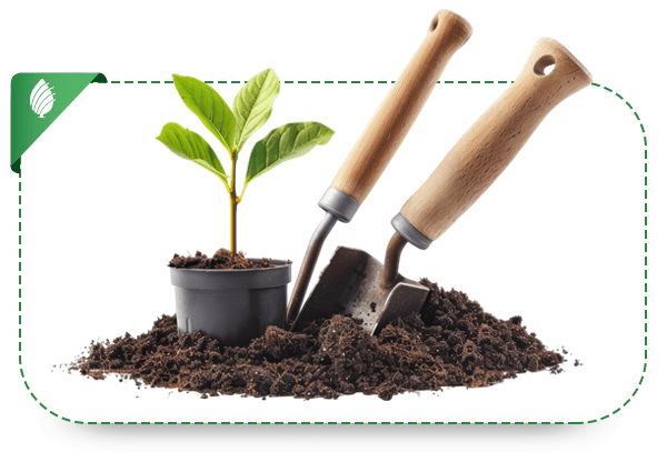 Product-sabzland-001-DS-min