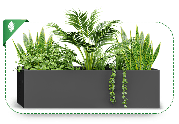 Product-sabzland-003-DS-min