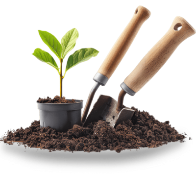 product---b---sabzland---0006-min